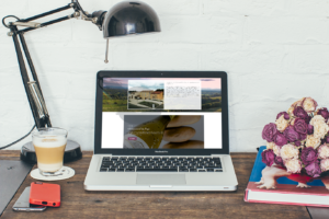 Château Mongin - Contact