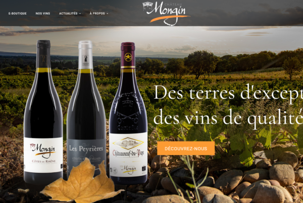 Capture d'écran de projet