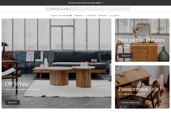 Capture d'écran de projet