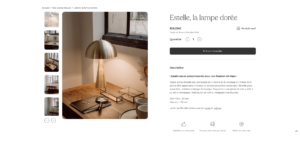 Capture d'écran de projet