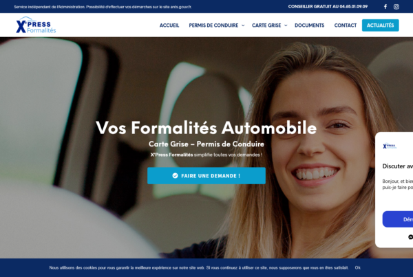 Capture d'écran de projet