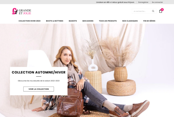 Capture d'écran de projet