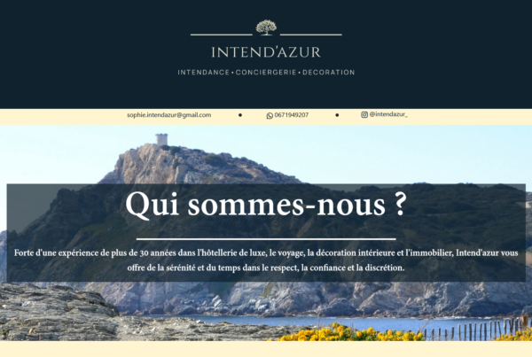 Capture d'écran de projet