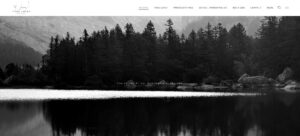 Yves Luyet - Accueil